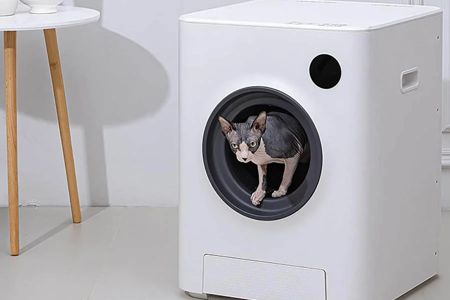 scooping kitty litter